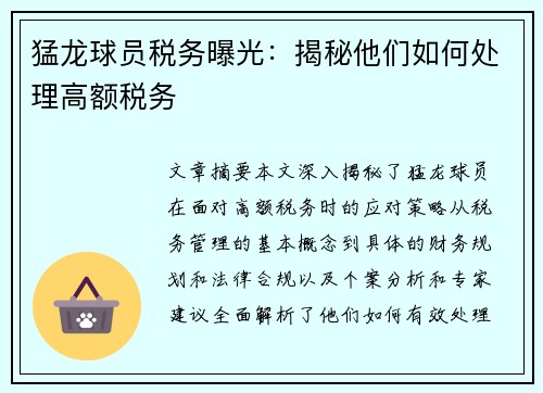 猛龙球员税务曝光：揭秘他们如何处理高额税务