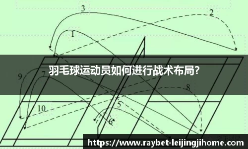雷竞技官方网站